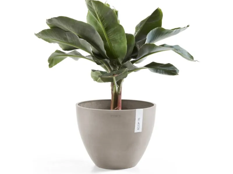Discount Ecopot s Pflanztopf Antwerp 40 cm Braungrau