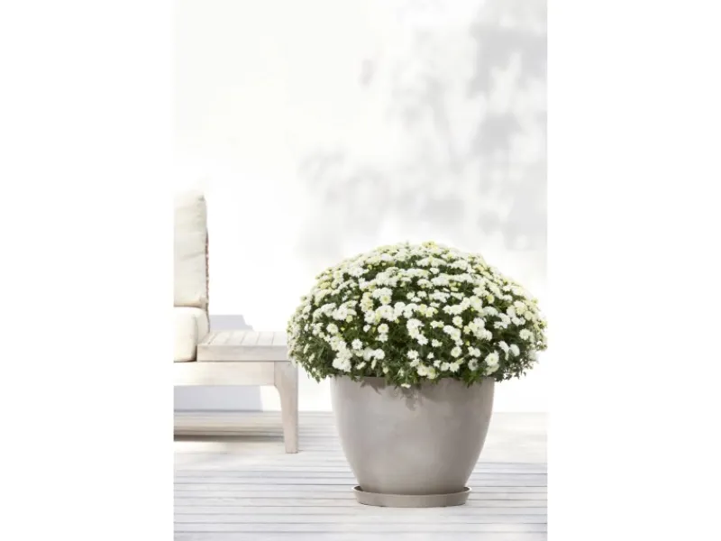 Discount Ecopot s Pflanztopf Antwerp 40 cm Braungrau
