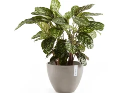 Ecopot Töpfe<s Pflanztopf Antwerp 50 cm
