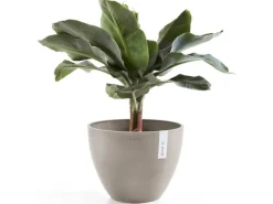 Ecopot Töpfe<s Pflanztopf Antwerp 50 cm