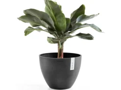 Clearance Ecopot s Pflanztopf Antwerp 30 cm Dunkelgrau