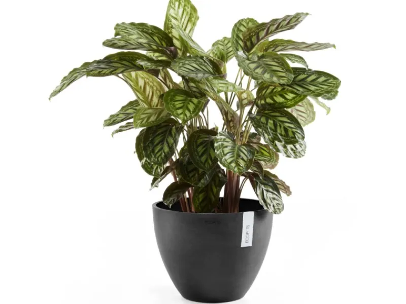 Clearance Ecopot s Pflanztopf Antwerp 30 cm Dunkelgrau