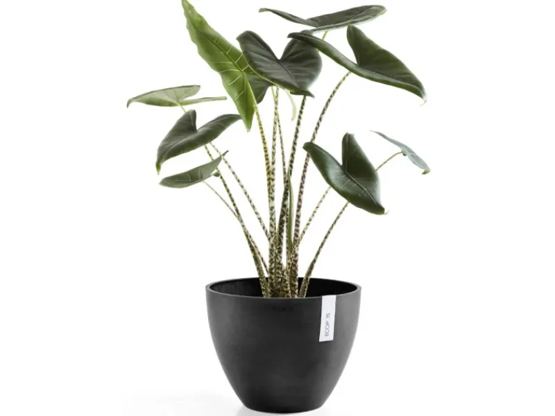 Best Ecopot s Pflanztopf Antwerp 40 cm Dunkelgrau