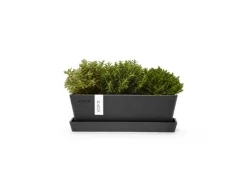 Ecopots Pflanztopf Bruges Mini 25 cm x 9 cm x 8,4 cm< Töpfe