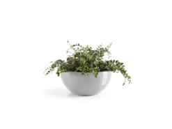 Ecopots Pflanztopf Brussels 30 cm x 14 cm< Töpfe