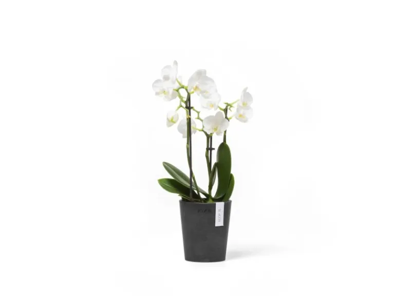 Sale Ecopots Pflanztopf Morinda 11 cm x 12,4 cm Dunkelgrau