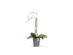 Ecopots Töpfe<Pflanztopf Morinda 17 cm x 19,2 cm