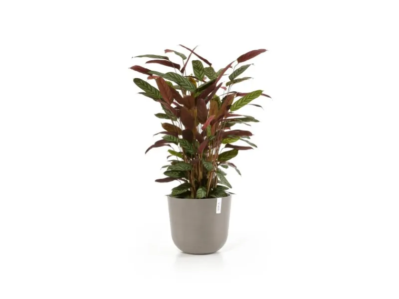 Ecopots Pflanztopf Oslo Braungrau Ø 35 cm / Höhe 30,5 cm< Töpfe