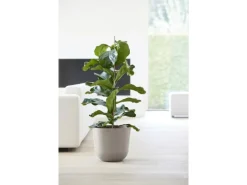 Ecopots Pflanztopf Oslo Braungrau Ø 35 cm / Höhe 30,5 cm< Töpfe