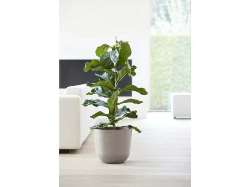 Ecopots Pflanztopf Oslo Braungrau Ø 35 cm / Höhe 30,5 cm< Töpfe