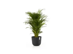 Ecopots Pflanztopf Oslo 35 cm x 30,5 cm< Töpfe