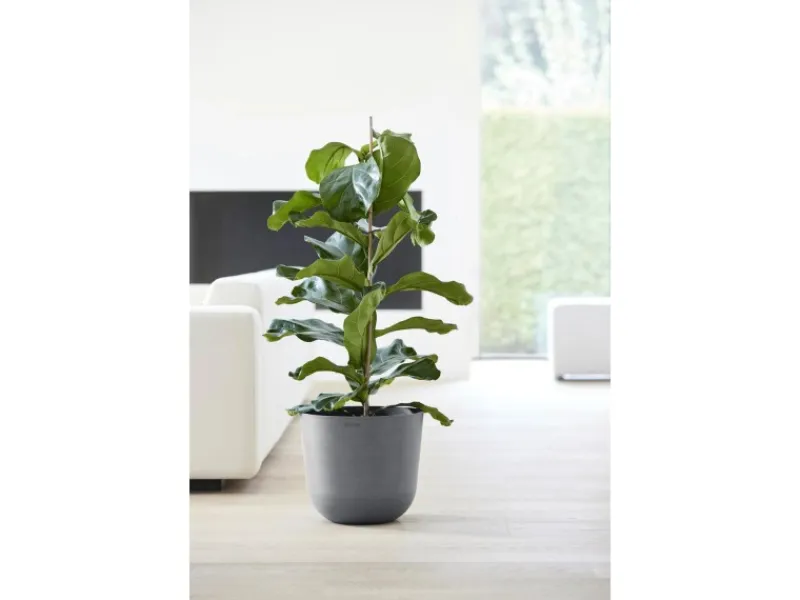Best Ecopots Pflanztopf Oslo 35 cm x 30,5 cm Grau