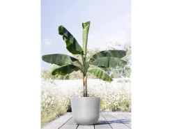 Outlet Ecopots Pflanztopf Oslo 45 cm x 39,2 cm Weißgrau