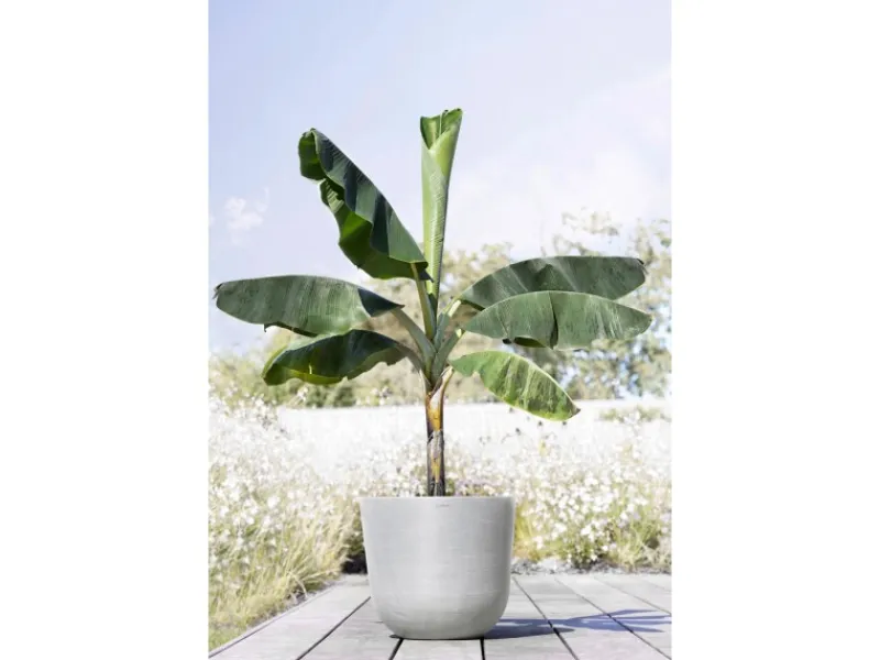 Outlet Ecopots Pflanztopf Oslo 45 cm x 39,2 cm Weißgrau