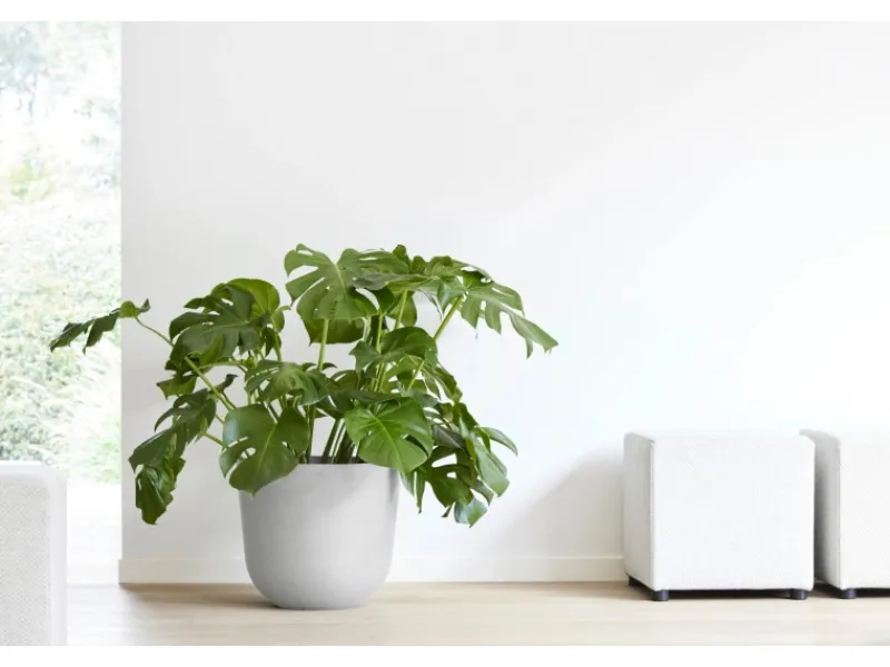 Outlet Ecopots Pflanztopf Oslo 45 cm x 39,2 cm Weißgrau