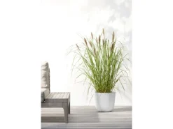 Ecopots Pflanztopf Oslo 25 cm x 21,8 cm< Töpfe