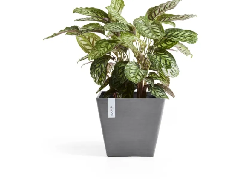 Ecopots Pflanztopf Rotterdam Grau (HxBxT) 35 x 40 x 40 cm< Töpfe