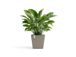 Ecopots Töpfe<Pflanztopf Rotterdam Braungrau 45,4 cm x 44 cm
