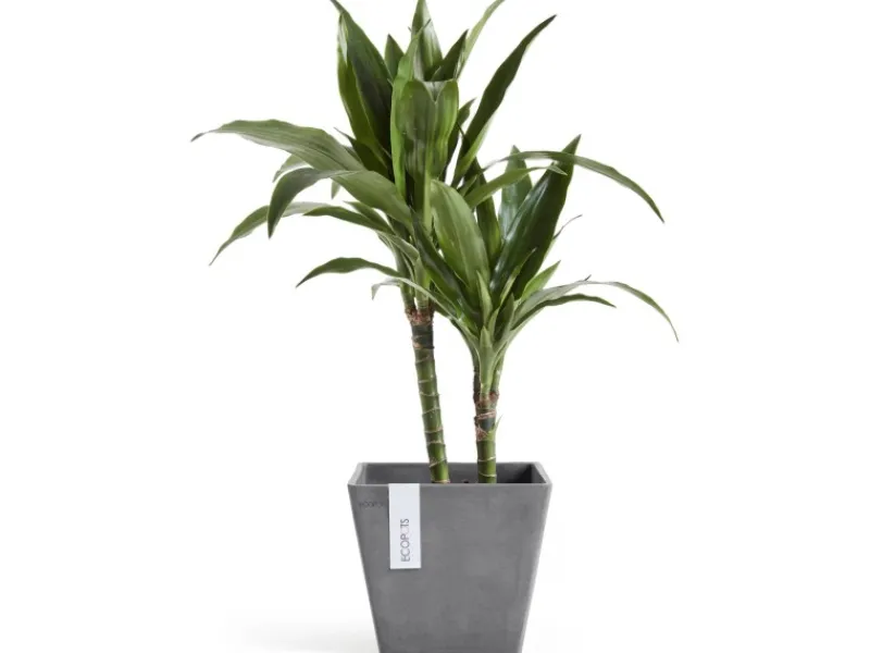 Discount Ecopot s Pflanztopf Rotterdam 20 cm x 20 cm x 17,5 cm Grau