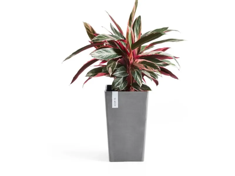 Ecopot s Pflanztopf Rotterdam 30 cm x 30 cm x 50 cm Grau< Töpfe
