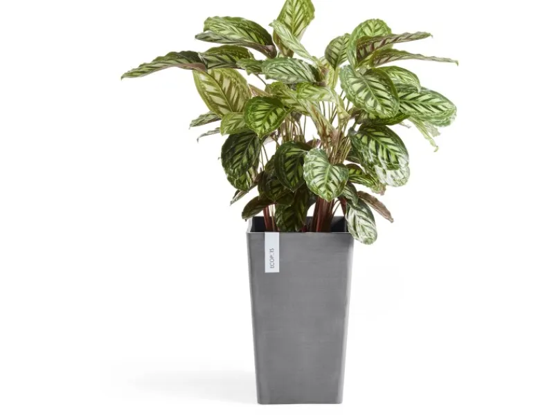 Ecopot s Pflanztopf Rotterdam 30 cm x 30 cm x 50 cm Grau< Töpfe