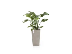Ecopots Töpfe<Pflanztopf Rotterdam Halbhoch Braungrau 31 cm x 56 cm
