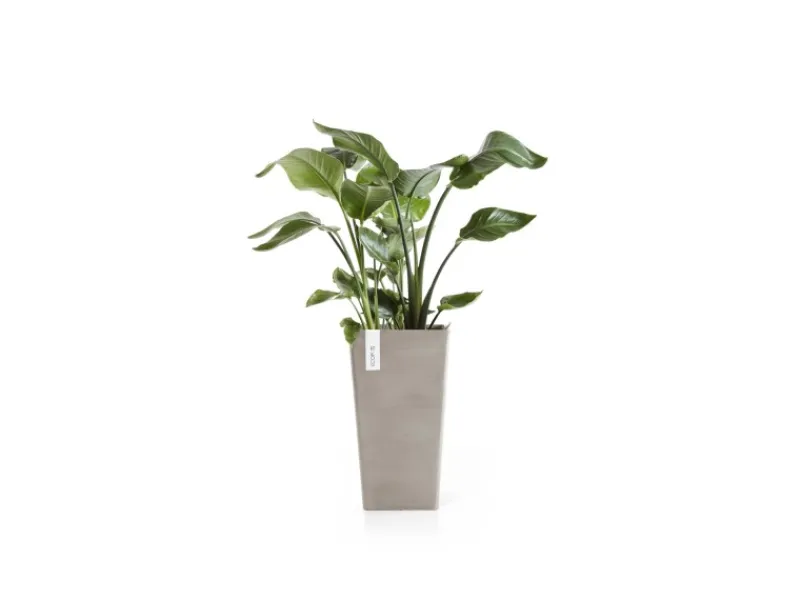 Ecopots Töpfe<Pflanztopf Rotterdam Halbhoch Braungrau 31 cm x 56 cm