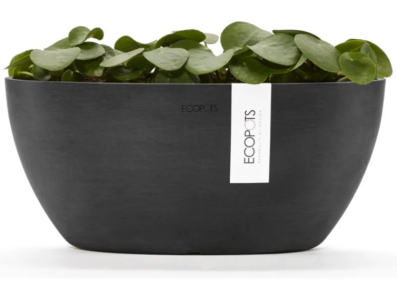 Ecopot Töpfe<s Pflanztopf Sofia+WasBeh 30 cm