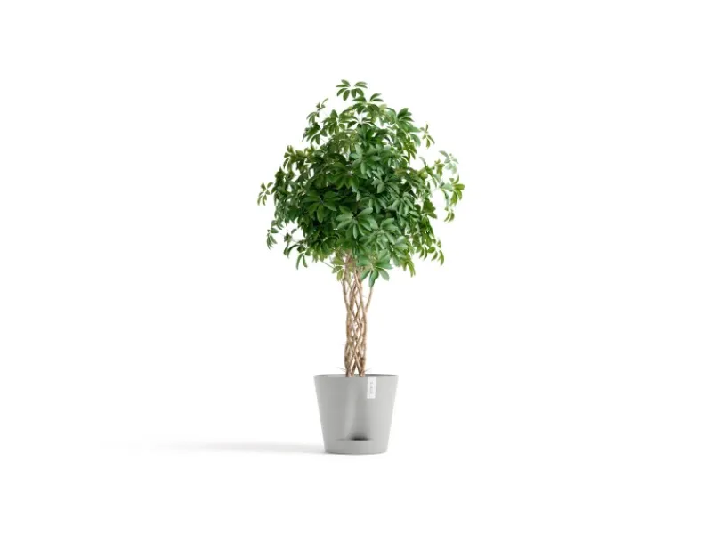 Clearance Ecopots Pflanztopf Venice 2 40 cm x 35 cm Weißgrau