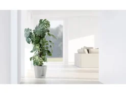 Ecopots Töpfe<Pflanztopf Venice 2 30 cm x 26,3 cm