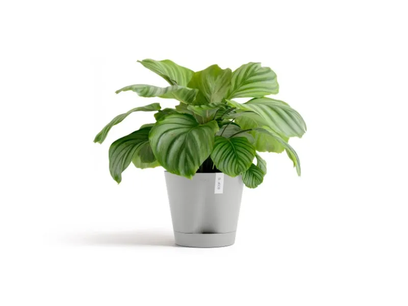 Ecopots Töpfe<Pflanztopf Venice 2 30 cm x 26,3 cm