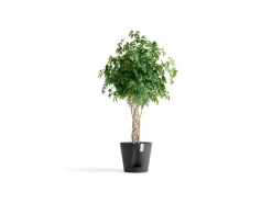 Ecopots Pflanztopf Venice 2 40 cm x 35 cm< Töpfe