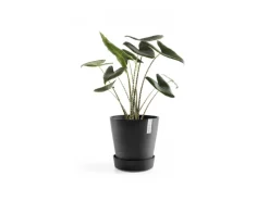 Ecopots Untersetzer Amsterdam Rollen 28,7 cm x 8,3 cm< Töpfe