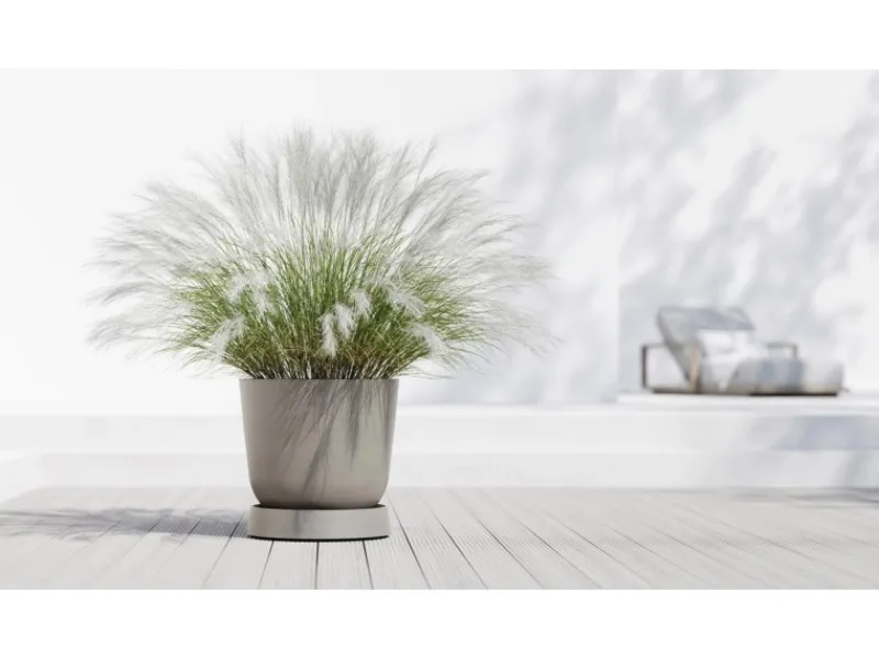 Ecopots Töpfe<Untersetzer Oslo Rollen Braungrau 50 cm x 10,5 cm