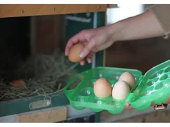 Kerbl Eier-Transportbox für 12 Eier< Gefrierschränke|Kühlschränke