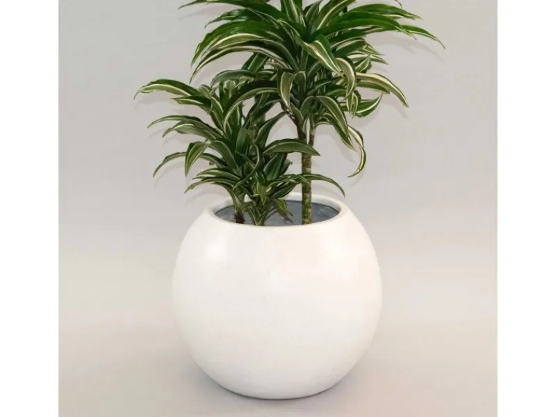 Elegant Einrichten Pflanzkübel Fiberglas Ball D40xH32cm Perlmutt-Weiß< Töpfe