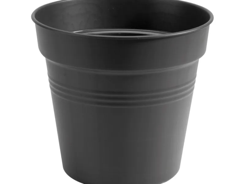 Elho Anzuchttopf Green Basics Ø 21 cm living< Töpfe