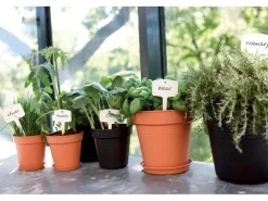 Elho Anzuchttopf Green Basics Ø 21 cm living< Töpfe