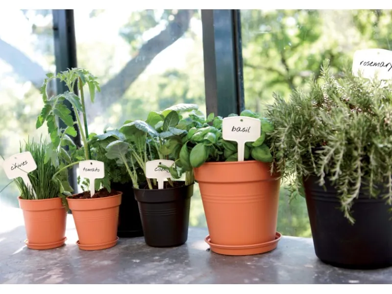 Elho Anzuchttopf Green Basics Ø 21 cm living< Töpfe