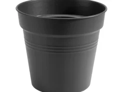 Elho Töpfe<Anzuchttopf Green Basics Ø 35 cm living