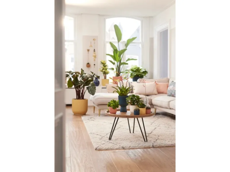 Clearance Elho Übertopf Vibes Fold Ø 25 cm x 23 cm Seidenweiß