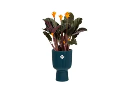 Elho Übertopf Vibes Fold Coupe 14 cm x 13,9 cm x 21 cm< Töpfe
