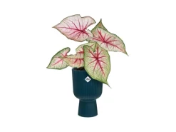 Elho Übertopf Vibes Fold Coupe 14 cm x 13,9 cm x 21 cm< Töpfe