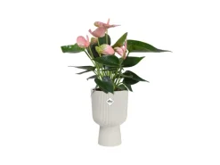 Elho Übertopf Vibes Fold Coupe 14 cm x 13,9 cm x 21 cm< Töpfe
