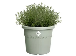Elho Töpfe<Blumentopf Algarve Cilindro Ø 25 cm x 21 cm