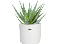 Discount Elho Blumentopf B.For Soft Rund Ø 13,8 cm Weiß