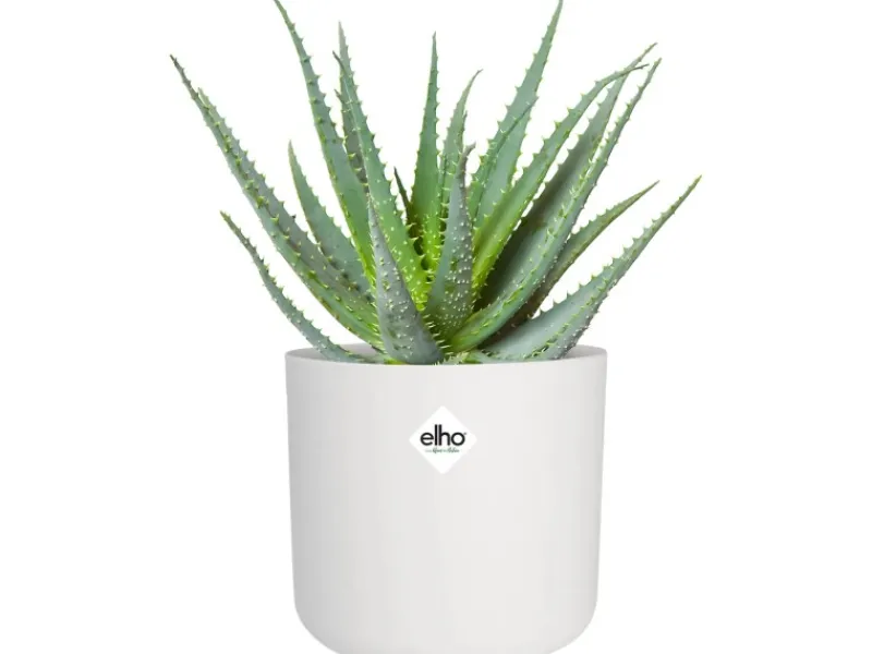Discount Elho Blumentopf B.For Soft Rund Ø 13,8 cm Weiß