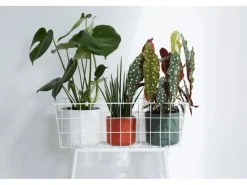 Discount Elho Blumentopf B.For Soft Rund Ø 13,8 cm Weiß