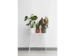 Discount Elho Blumentopf B.For Soft Rund Ø 13,8 cm Weiß