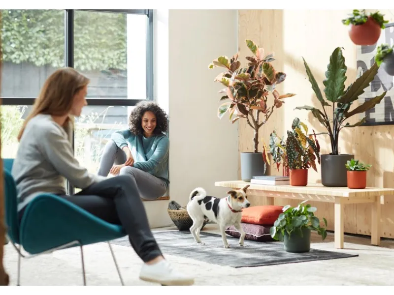 Elho Töpfe<Blumentopf B.For Soft Rund Ø 18,3 cm